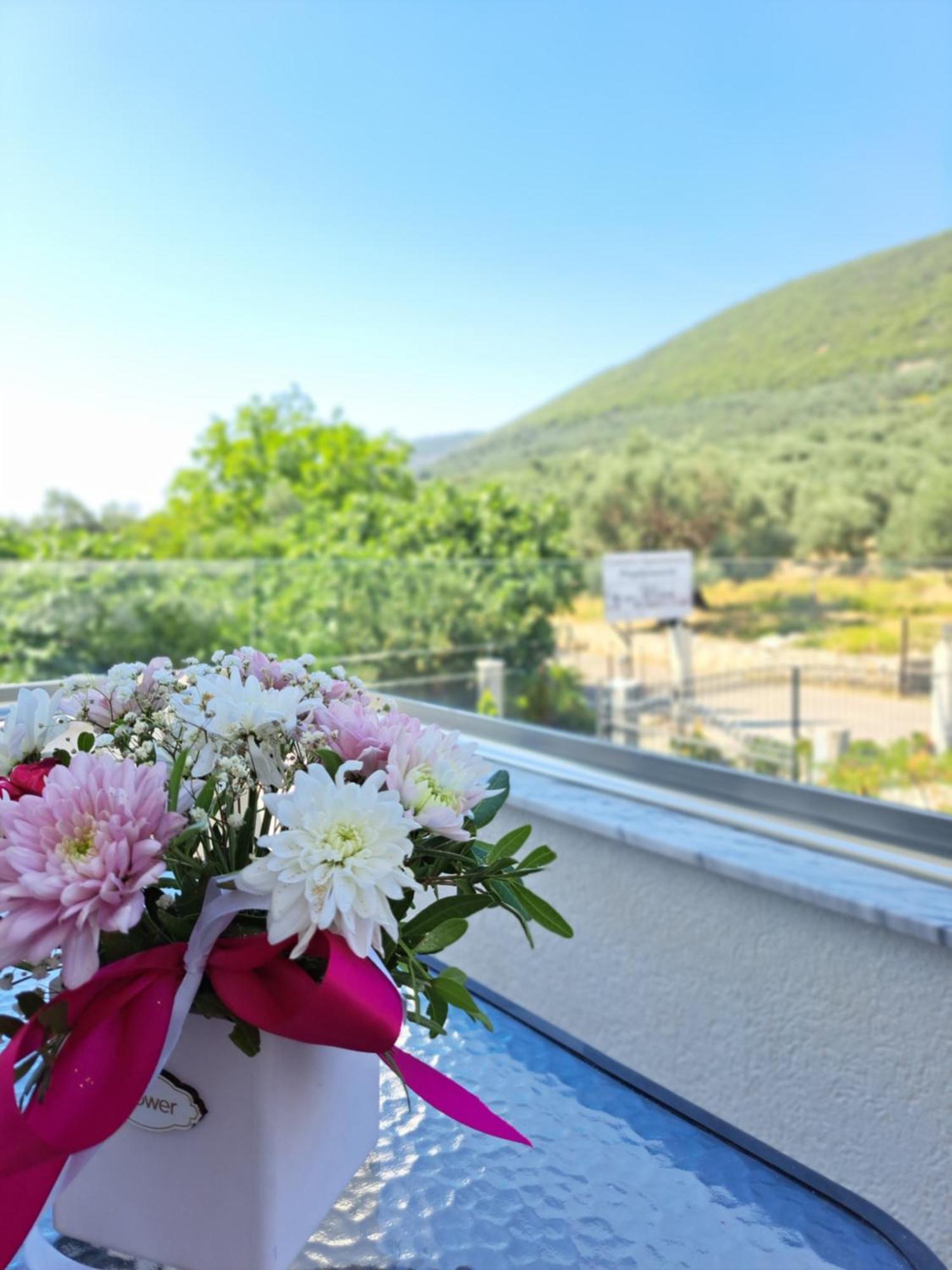 Apartments Pepdjonovic Ülgün Dış mekan fotoğraf
