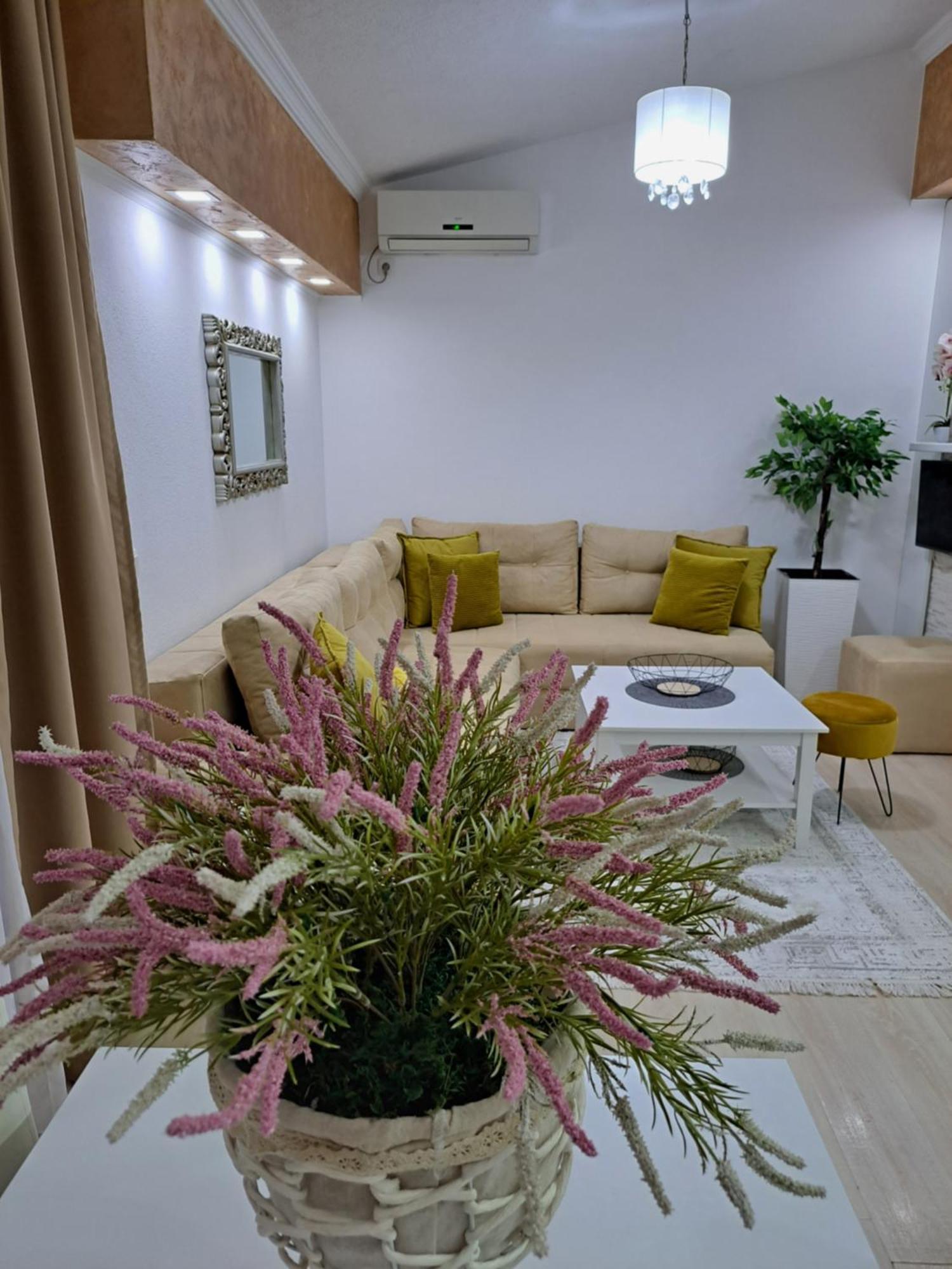 Apartments Pepdjonovic Ülgün Dış mekan fotoğraf